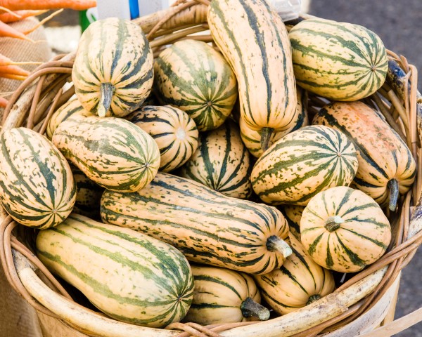 What The Heck Is That Your Guide To Delicious Winter Squash Garden Therapy