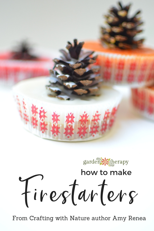 How to make Pinecone Firestarters Crafting with Nature