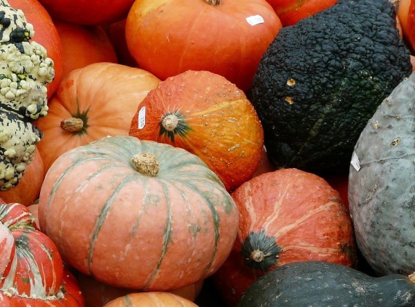 Discover the many varieties of winter squash available and learn the best way to cook them in this guide to demystifying winter squash.