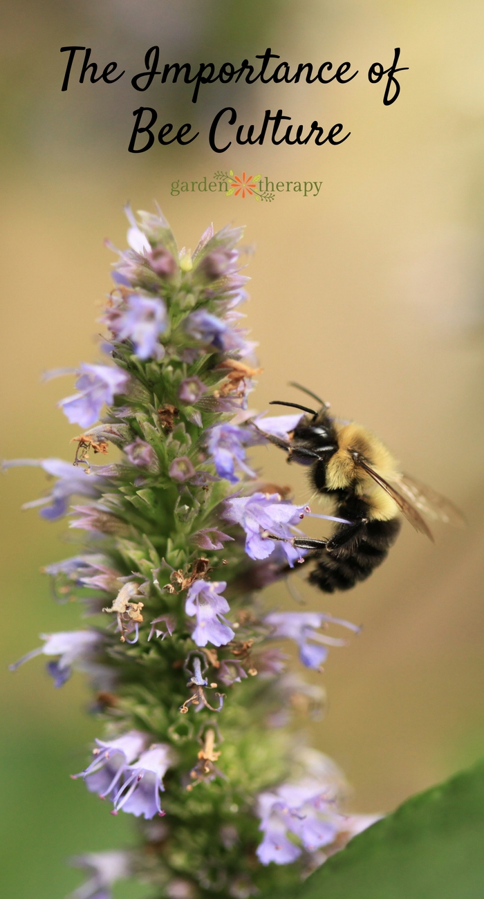 The Importance of Bee Culture How We Can Teach the Next Generation About Bees Garden Therapy