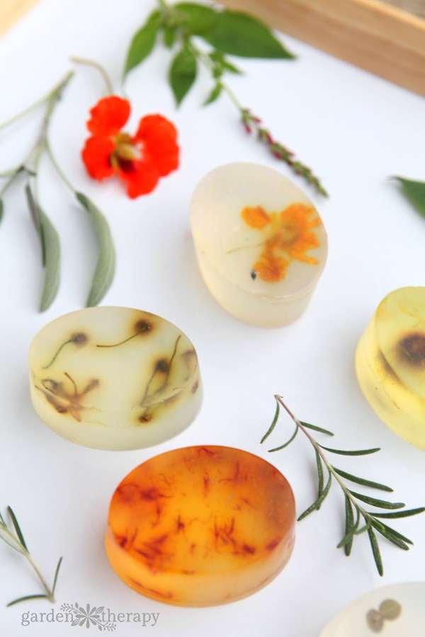 Clear soap bars with botanicals pressed inside.