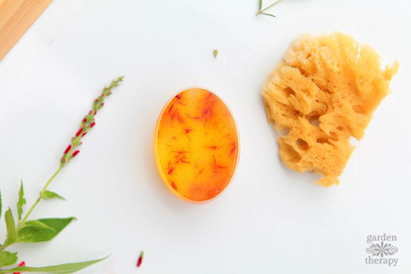 clear soap bars made with saffron inside