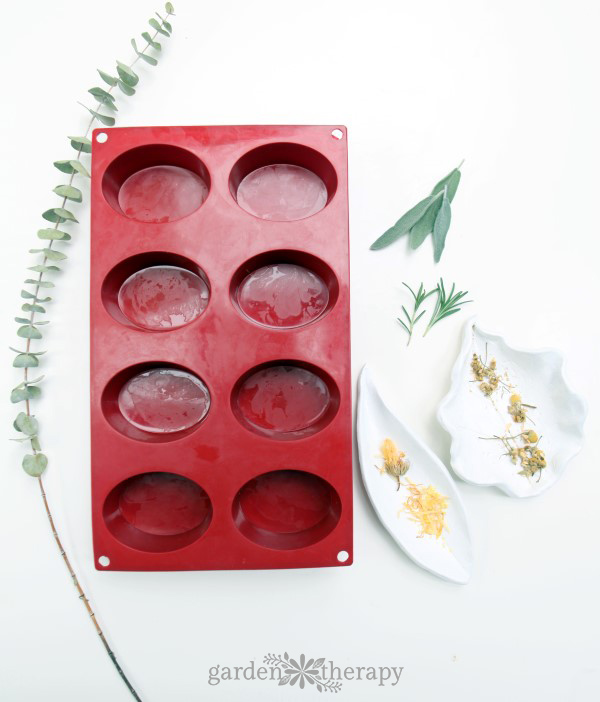 Soap mold with botanicals around it