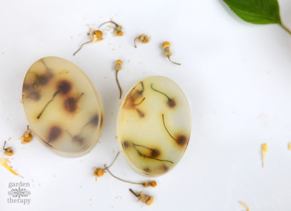 Botanical Soap with Chamomile