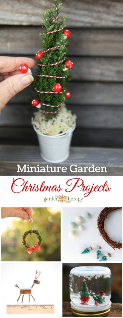 Christmas Miniature Garden Project and Ideas.