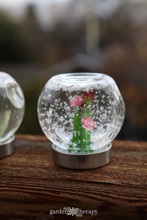 Succulent snow globes are the perfect decorations for plant lovers. Make these DIY decorations from easy-to-find materials and enjoy the garden all year.