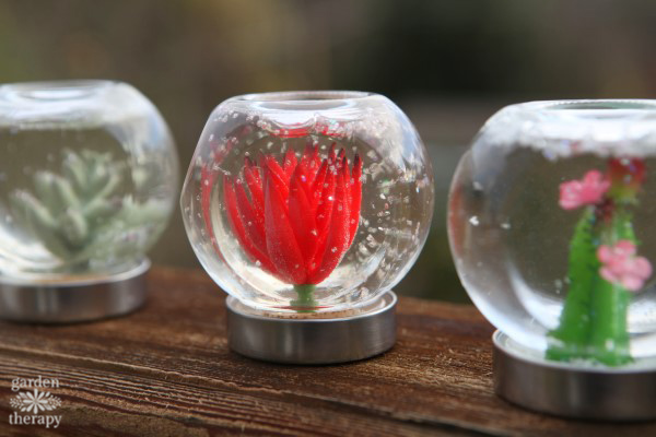 Succulent snow globes are the perfect decorations for plant lovers. Make these DIY decorations from easy-to-find materials and enjoy the garden all year.