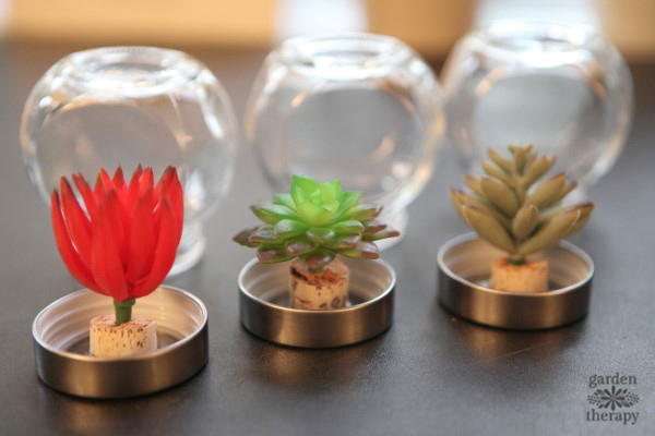 Succulent snow globes are the perfect decorations for plant lovers. Make these DIY decorations from easy-to-find materials and enjoy the garden all year.