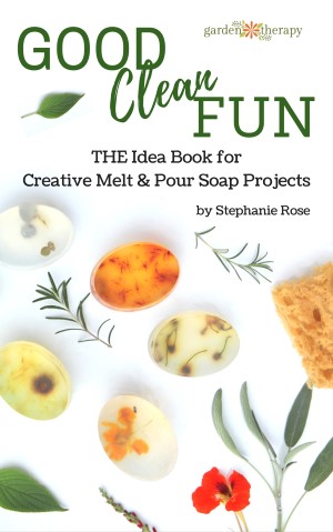 good clean fun book cover