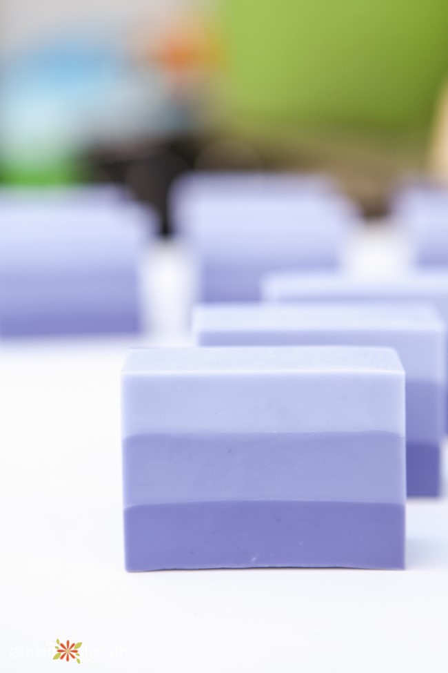 Lovely Lavender Ombre Melt and Pour Soap - Garden Therapy