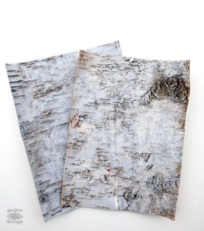 Three Creative Ways to Use This DIY Birch Bark Picture Frame - Garden