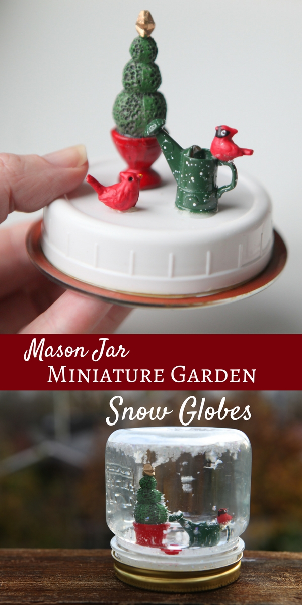 Three awesome things - Mason jar + miniature garden + snow globe all in one!