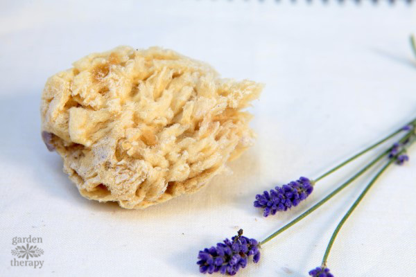 Learn how to make organic-looking handmade sea sponge soap topped with natural sea sponges for a gorgeous soap that lathers up beautifully.