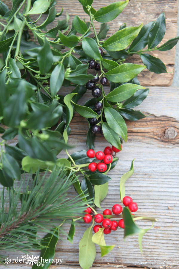 Holiday greenery - needle and broad-leaf evergreen foliage, as well as perennial flower and seed heads, herbs, and branches.