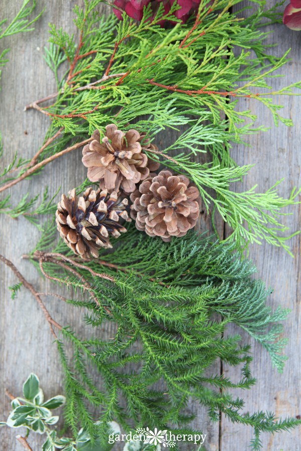 8 Types of Fresh Christmas Greenery for Holiday Decorating