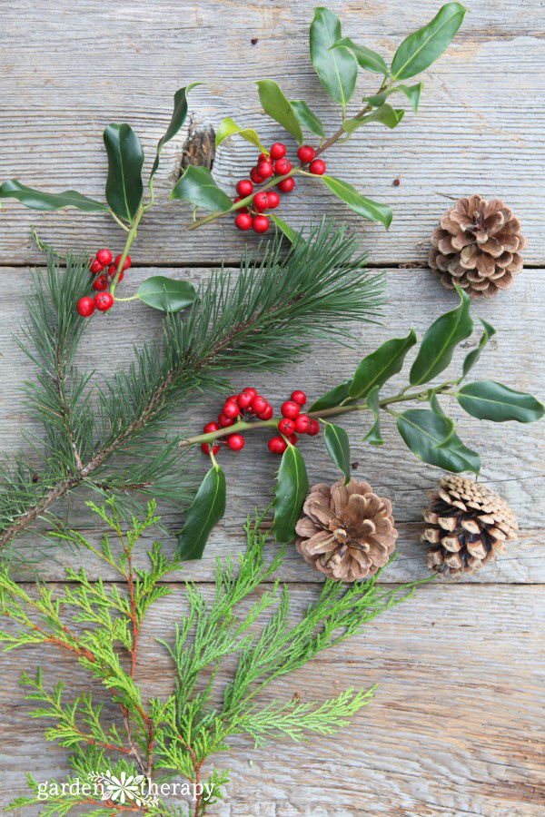 Holiday greenery is not limited just to evergreens, and it’s not always green! Some of the most beautiful holiday arrangements include both needle and broad-leaf evergreen foliage, as well as perennial flower and seed heads, herbs, and branches.