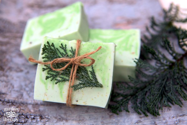 Winter Forest Soap Recipe | Most-Liked Homemade Soap Recipes For Frugal Homesteaders