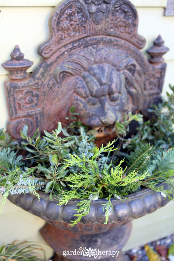Learn how to do some basic winter fountain care tasks, then use the garden to decorate it up with greenery from the garden, lights, and ornaments.