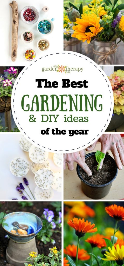 The very best of gardening and diy for the year!