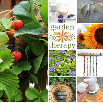 The very best of gardening and diy for the year!