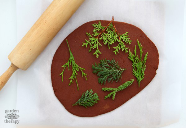 Evergreen leaves being pressed into cinnamon ornament dough