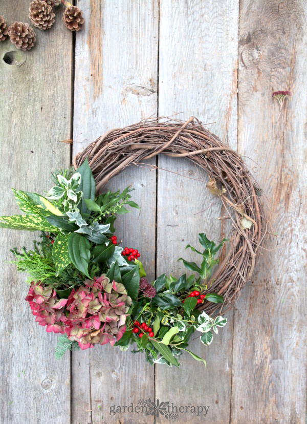 Make a beautiful fresh wreath with a variety of greenery cut from the garden with this easy step-by-step tutorial