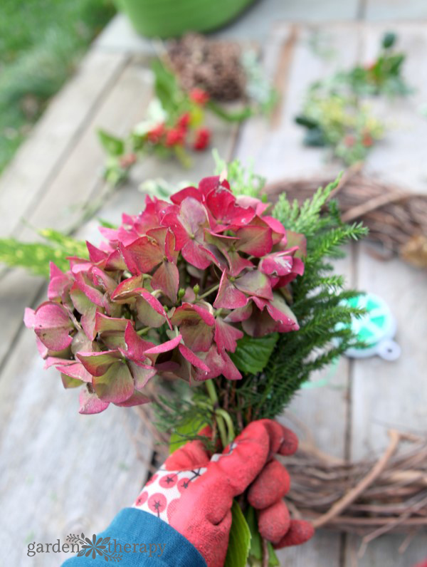 Make a beautiful fresh wreath with a variety of greenery cut from the garden with this easy step-by-step tutorial