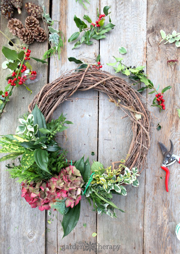 Make a beautiful fresh wreath with a variety of greenery cut from the garden with this easy step-by-step tutorial