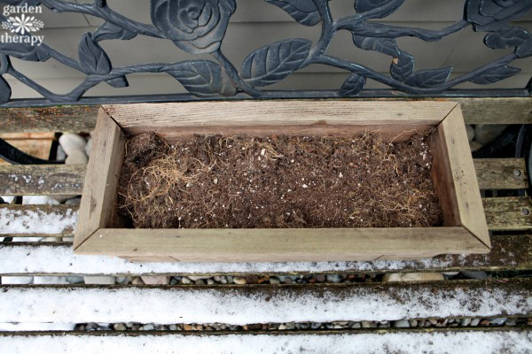 Create a festive holiday window box with a wood planter and some fresh greenery. You will quickly have a long lasting planter to freshen up the outdoors.