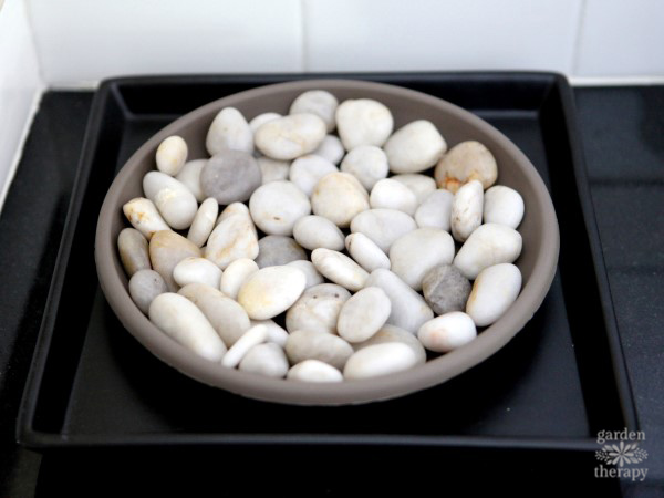 diy humidity tray with pebbles