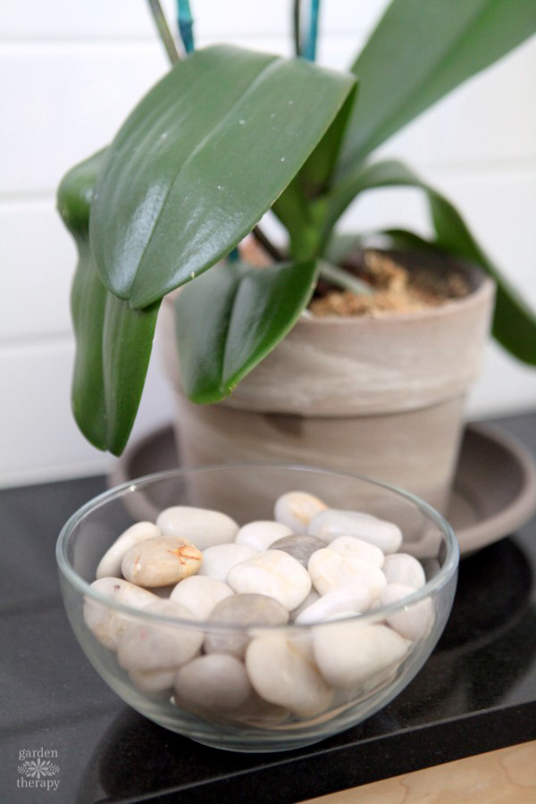 bowl with large pebbles next to orchid plant