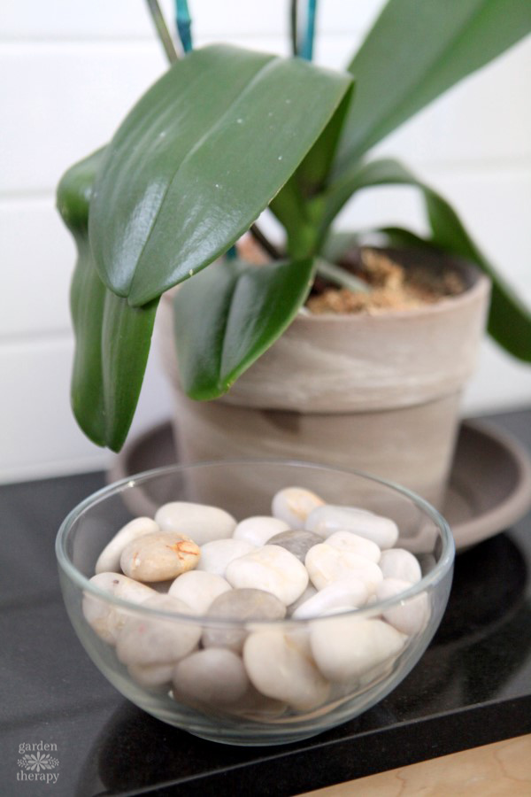 How to Make a Pebble Tray for Plants