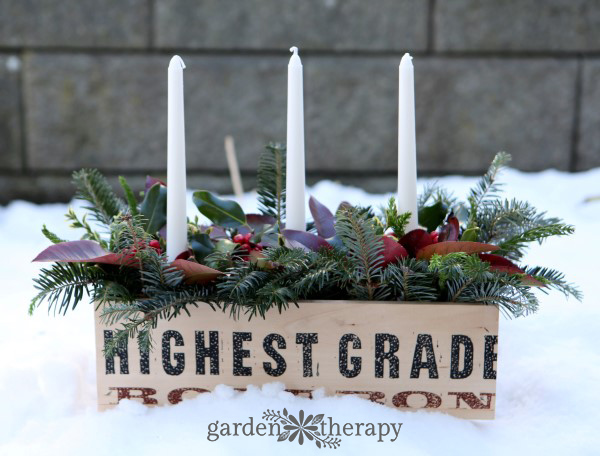 fresh greenery around a candle centerpiece for christmas