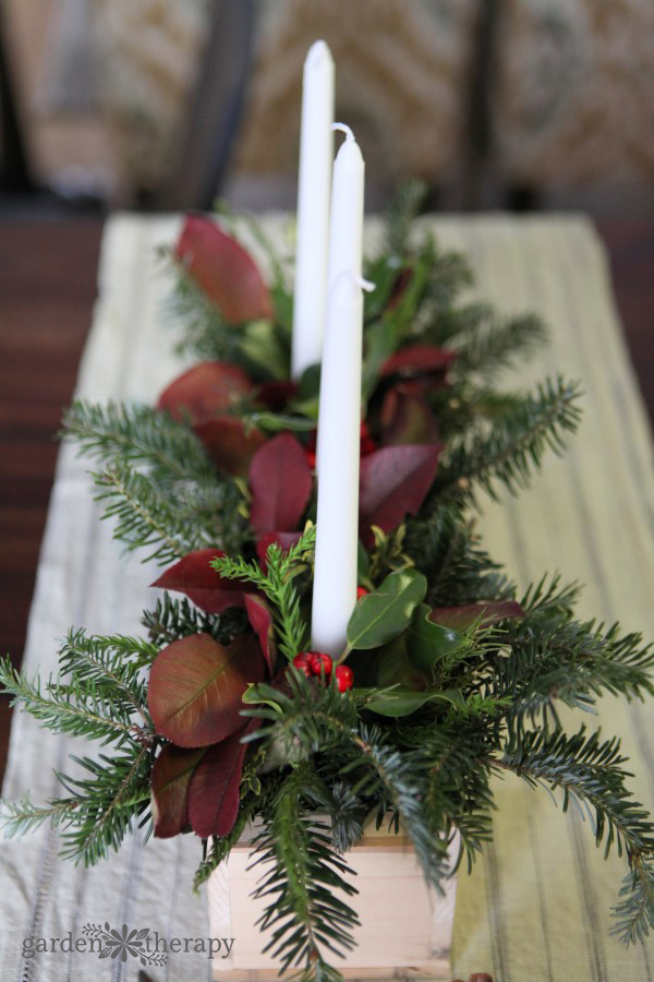 White pillar candles in fresh greenery as natural Christmas decoration