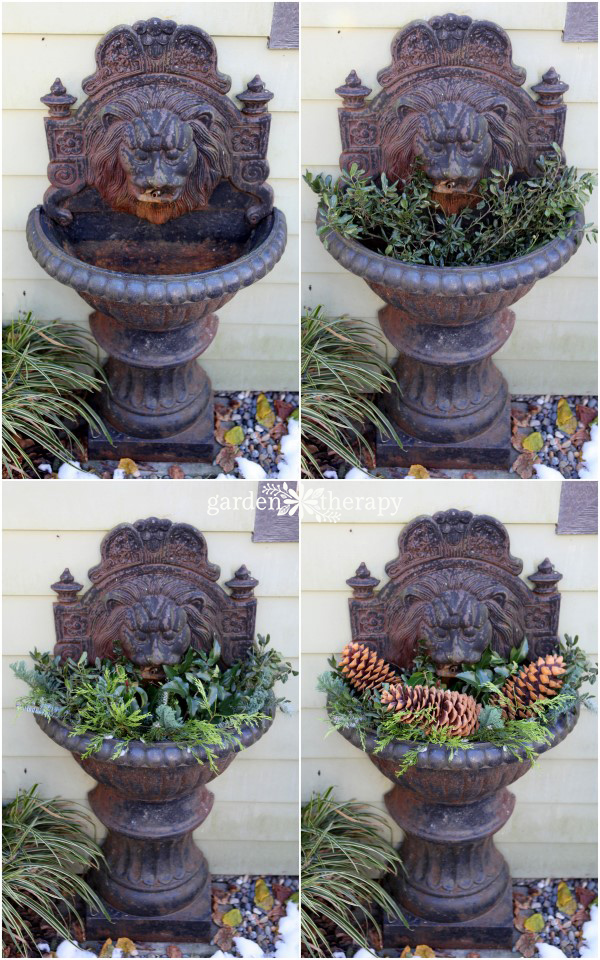 plant a fountain for winter