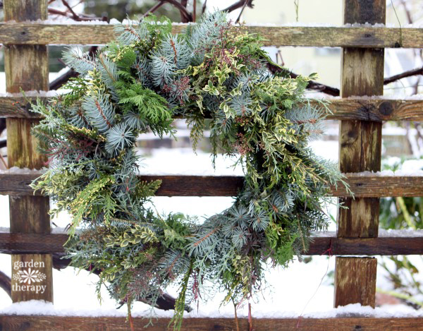 8 Types of Fresh Christmas Greenery for Holiday Decorating - Article onT