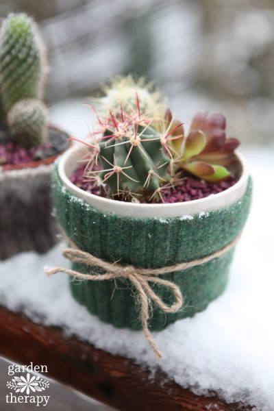 How to make these cute Felted Cactus Sweaters