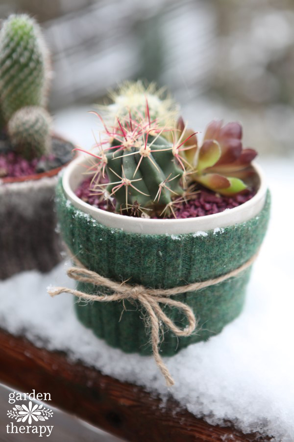 green felt cover for a cactus plant wrapped with twine