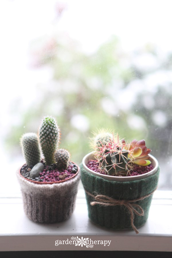 How to make these cute Felted Cactus Sweaters