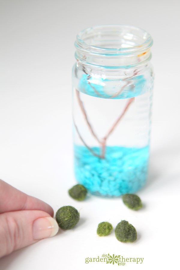 How to Grow and Care for Marimo Moss Balls 