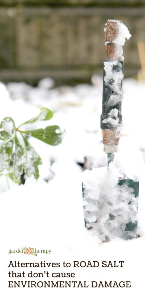 Save Your Garden from Road Salt Environmental Damage this Winter