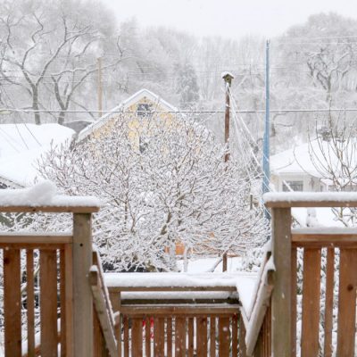 Save Your Garden from Road Salt Environmental Damage this Winter
