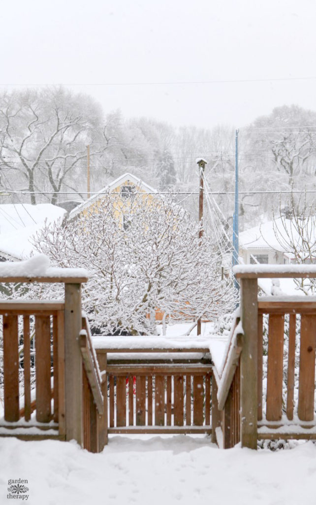 Save Your Garden from Road Salt Environmental Damage this Winter