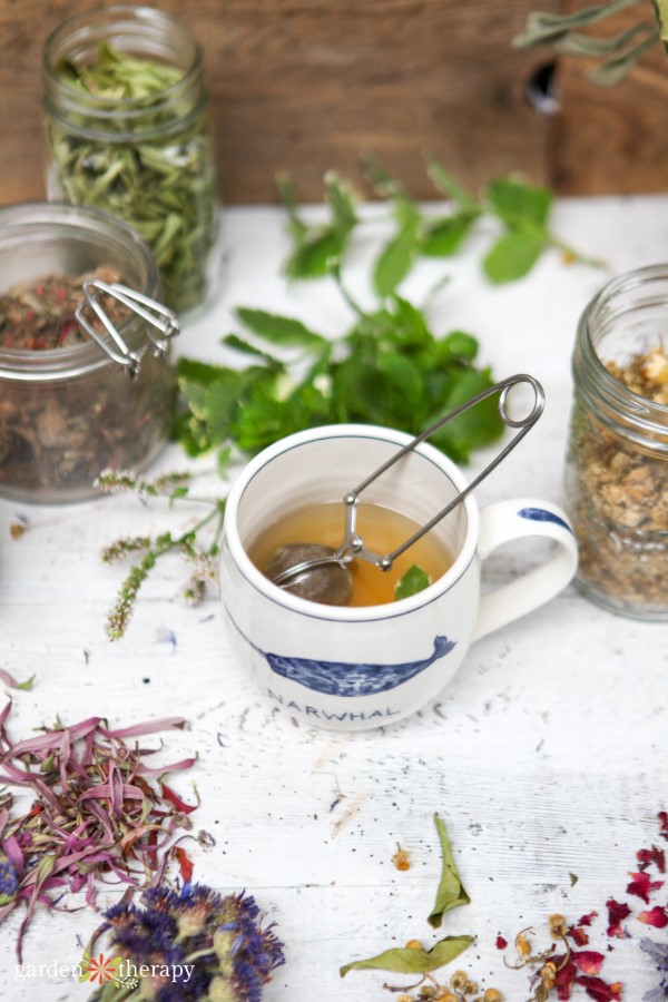 mug of tea beside fresh herbs and flowers for brewing herbal tea