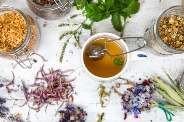 Remojar té de hierbas en una taza