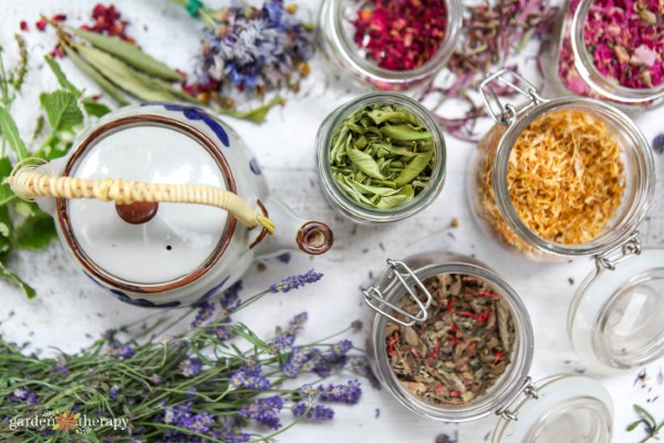 forskellige tørrede urter og blomster til fremstilling af te