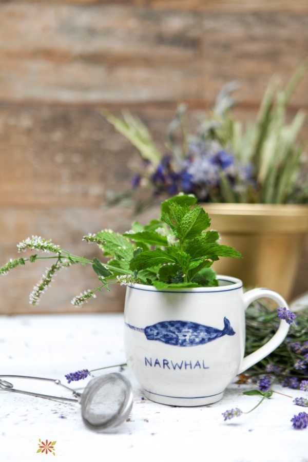 mug with fresh herbs for making tea from a tea garden