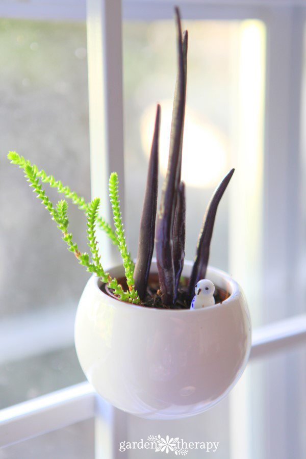 Whimsical DIY clay ornaments for indoor planter decorating