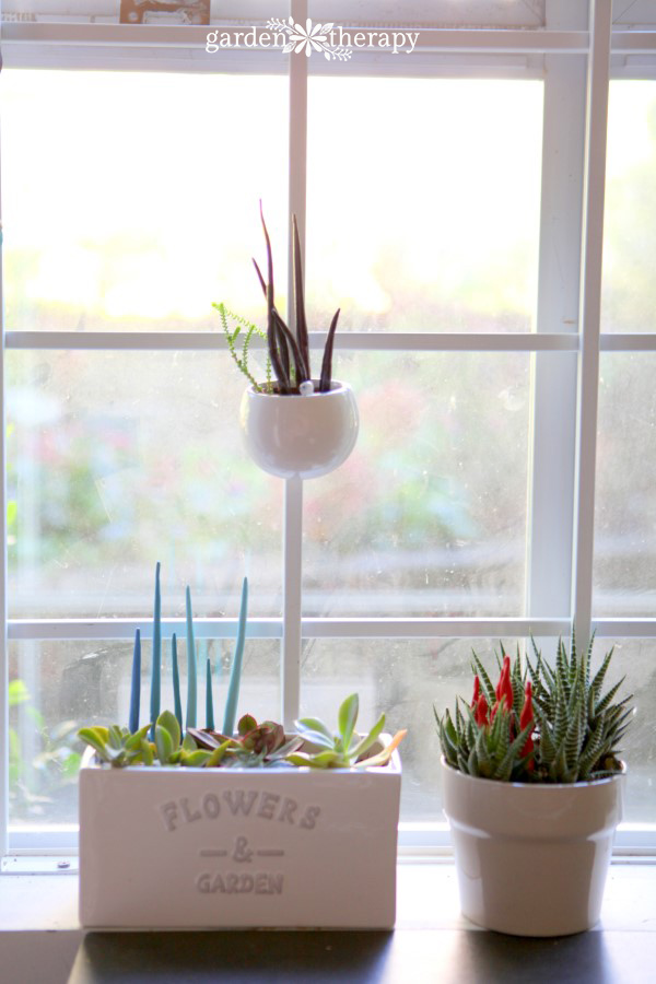 Whimsical DIY clay ornaments for indoor planter decorating