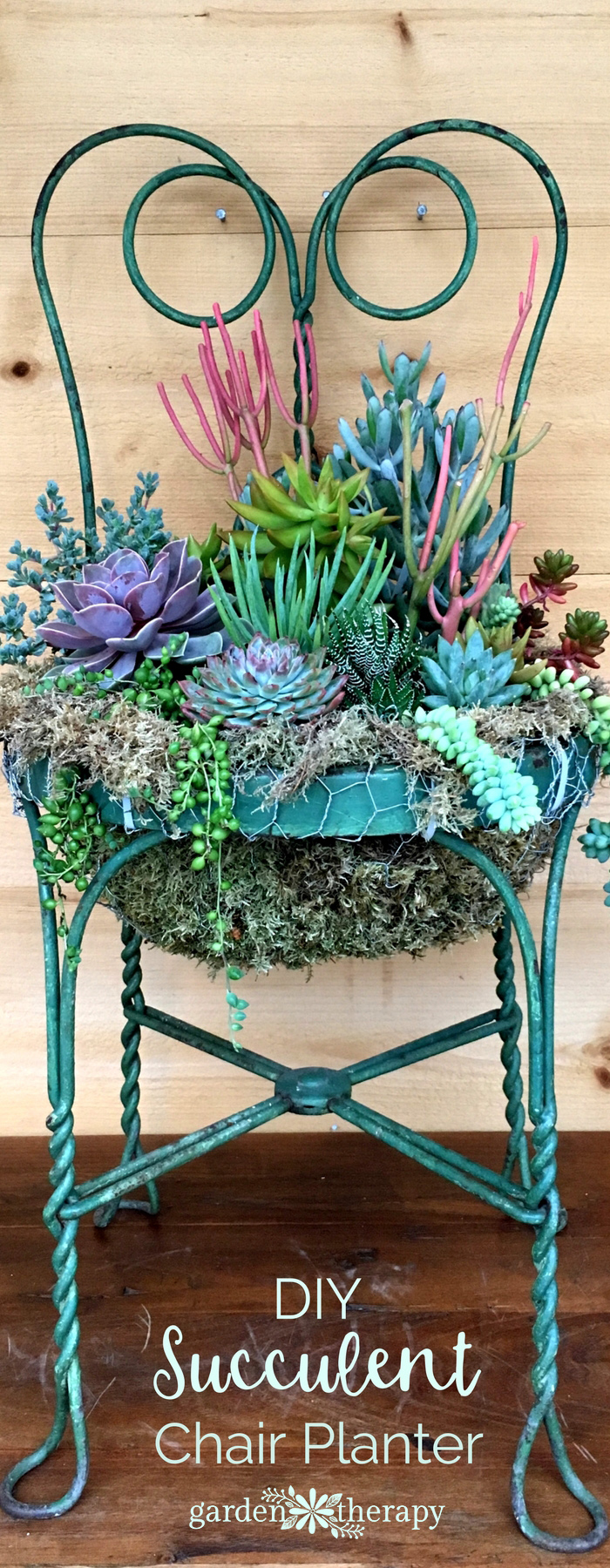 Set a Place in the Garden for a Succulent Chair Planter 